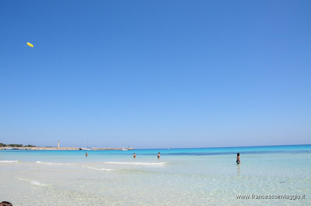 DSC_8574.JPG