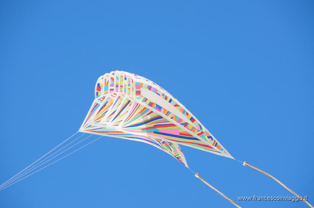DSC_8642.JPG