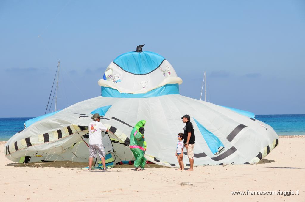 DSC_8762.JPG