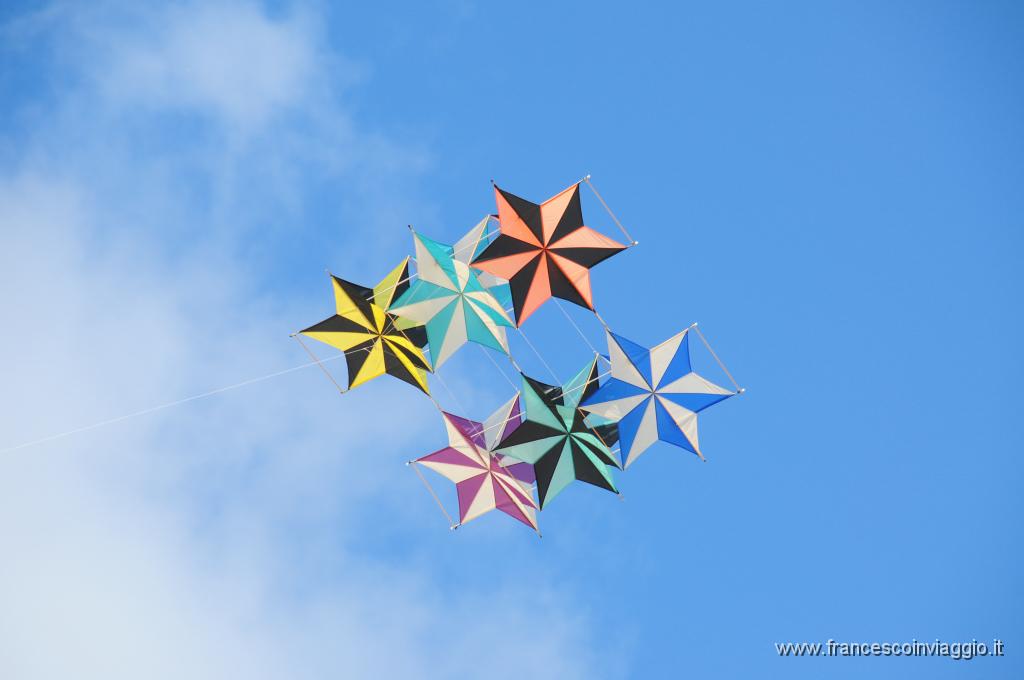 DSC_8776.JPG