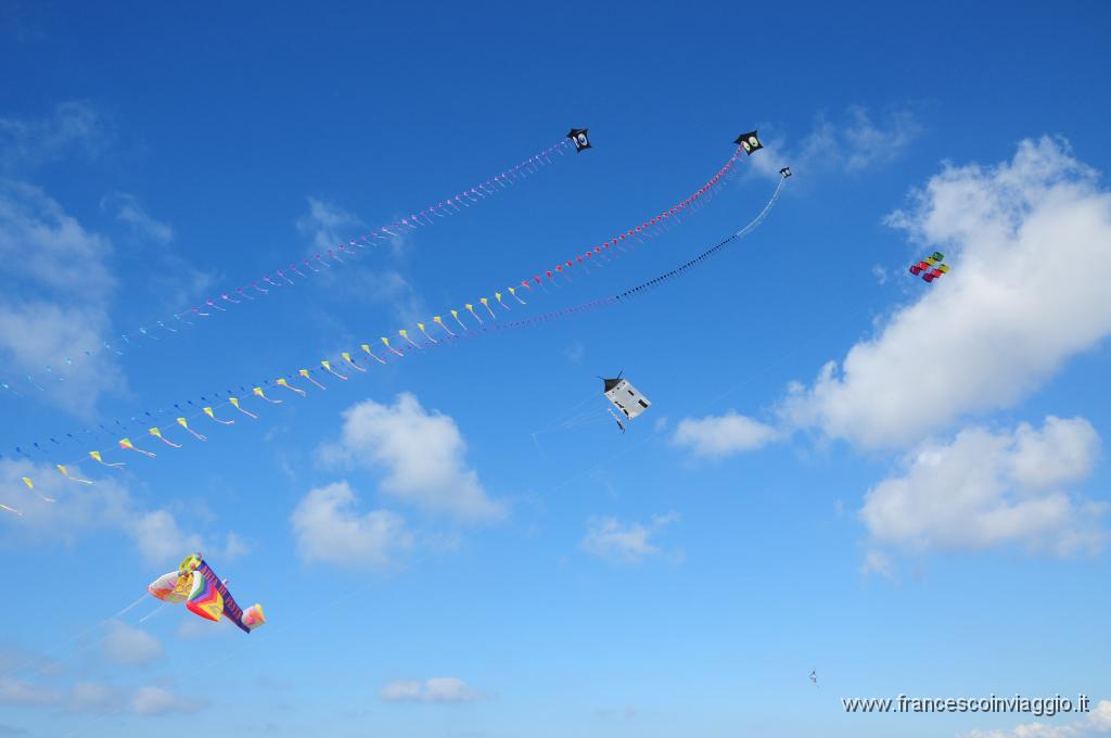 DSC_8963.JPG