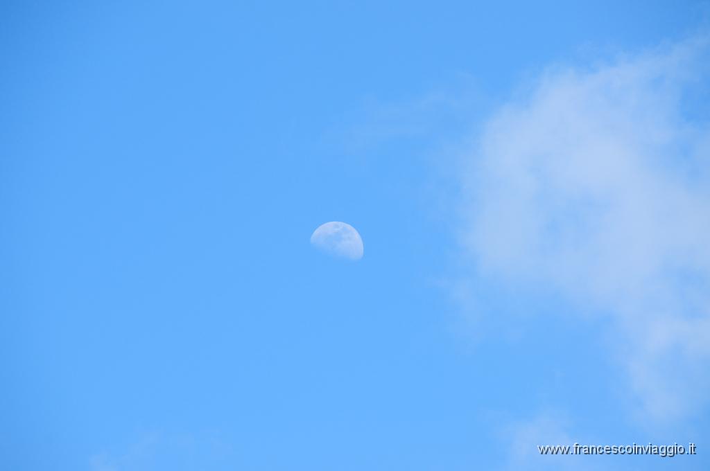 DSC_8976.JPG
