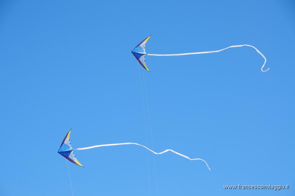 DSC_8979.JPG