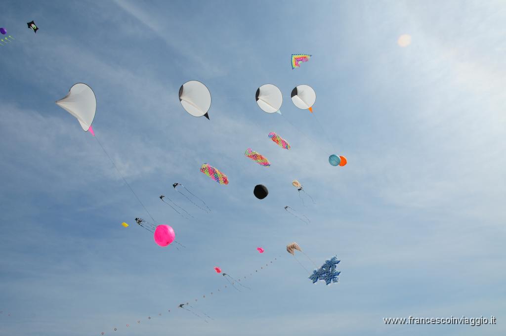 DSC_9148.JPG