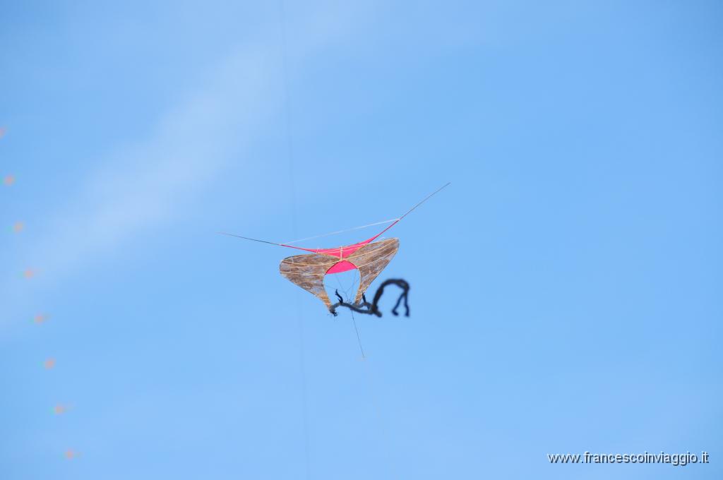 DSC_9234.JPG