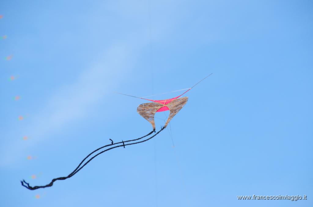 DSC_9235.JPG