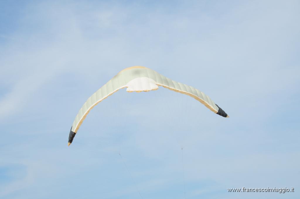 DSC_9307.JPG