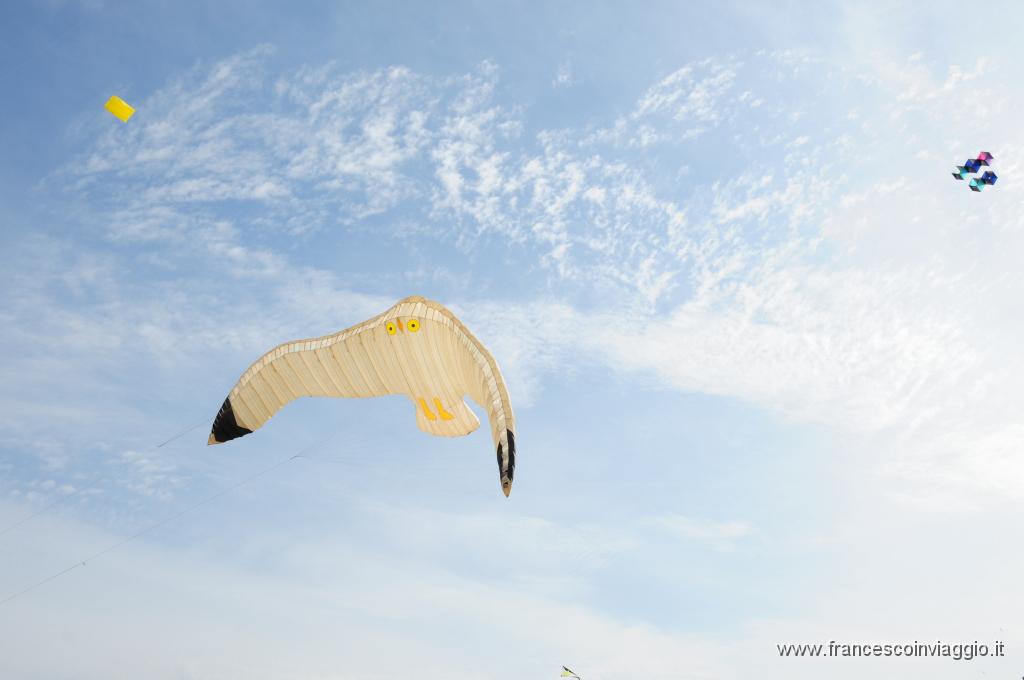 DSC_9319.JPG