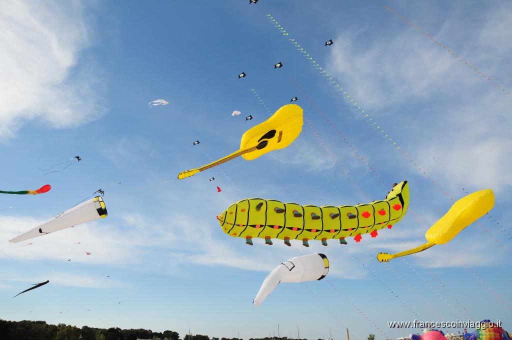 DSC_9391.JPG
