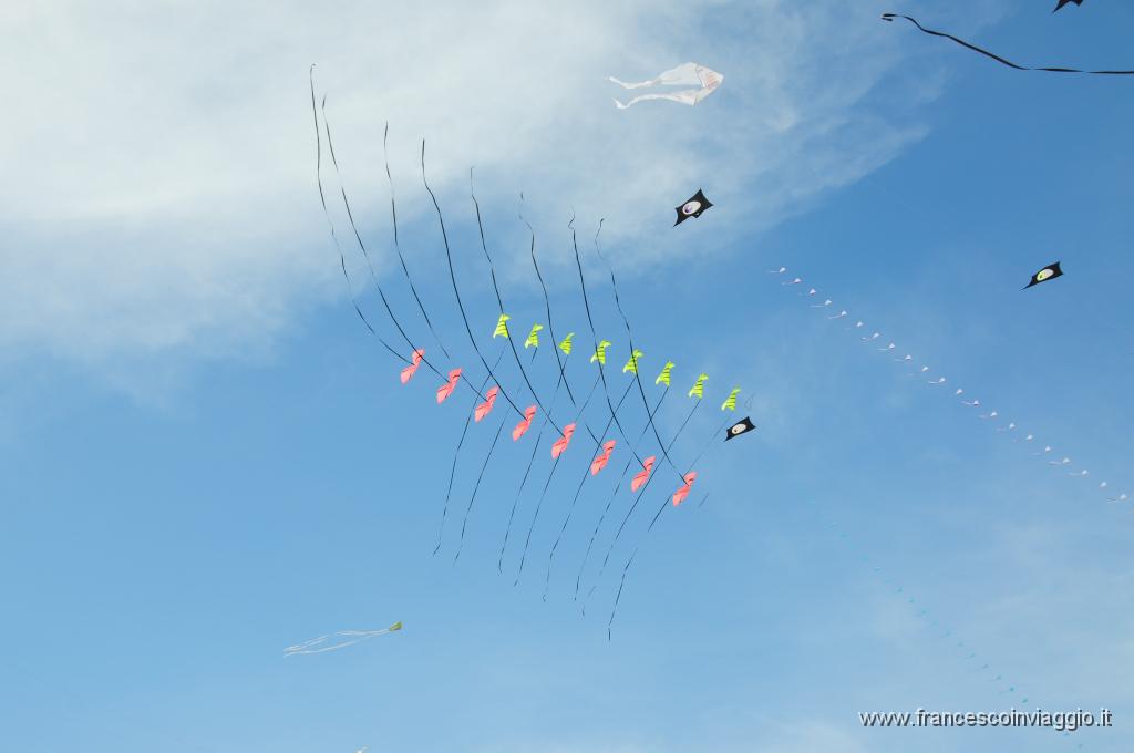 DSC_9404.JPG