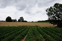15_DSC0403