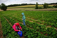 22_DSC0414
