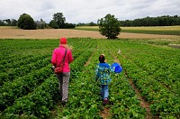 2_DSC0378