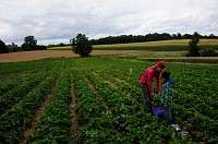 39_DSC0439