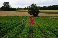 41_DSC0444