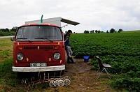 46_DSC0453