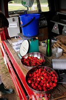 59_DSC0486