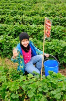 5_DSC0383