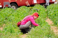 8_DSC0389