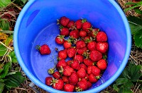 9_DSC0391