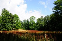 17_DSC3250