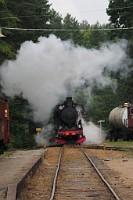2_DSC3194