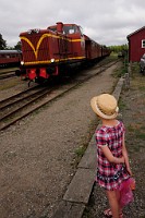 39_DSC2921