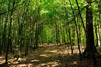 42_DSC3327