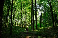 44_DSC3336