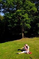 50_DSC3358