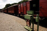 60_DSC2961