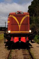 78_DSC3022
