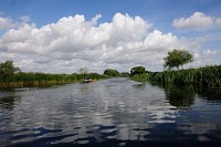 19_DSC3401