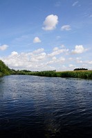 28_DSC3421
