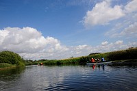 64_DSC3510