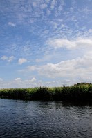 68_DSC3529