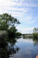 75_DSC3553