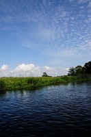 82_DSC3575
