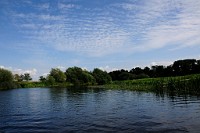 91_DSC3601