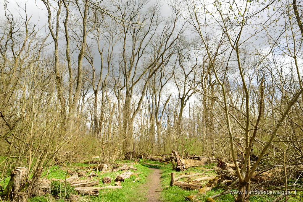 114DSC_4679.JPG
