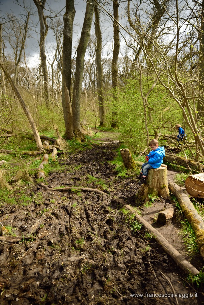 122DSC_4691.JPG