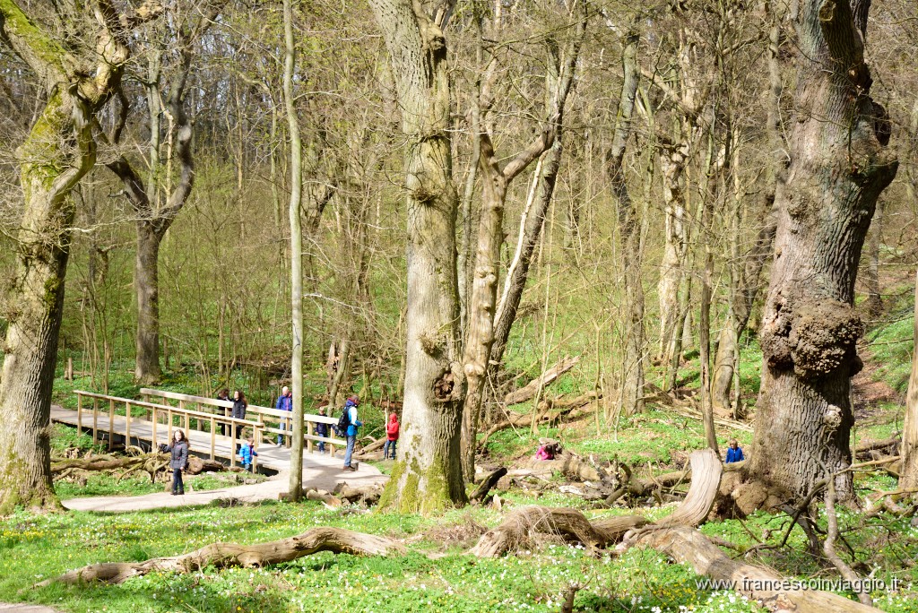 138DSC_4720.JPG