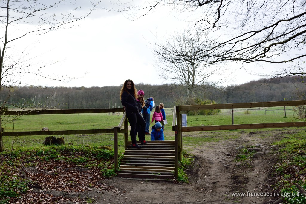 25DSC_4534.JPG