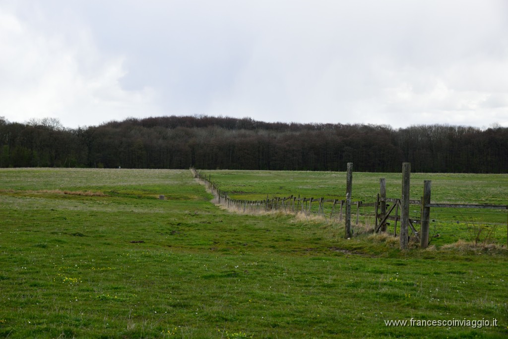 26DSC_4536.JPG
