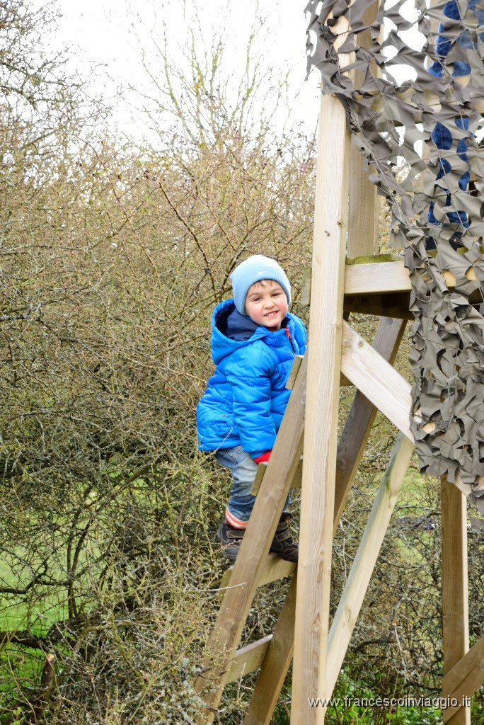 28DSC_4538.JPG