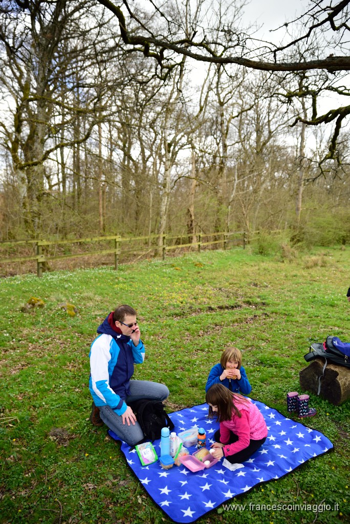 35DSC_4547.JPG