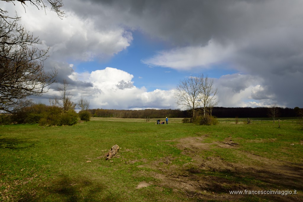 40DSC_4553.JPG