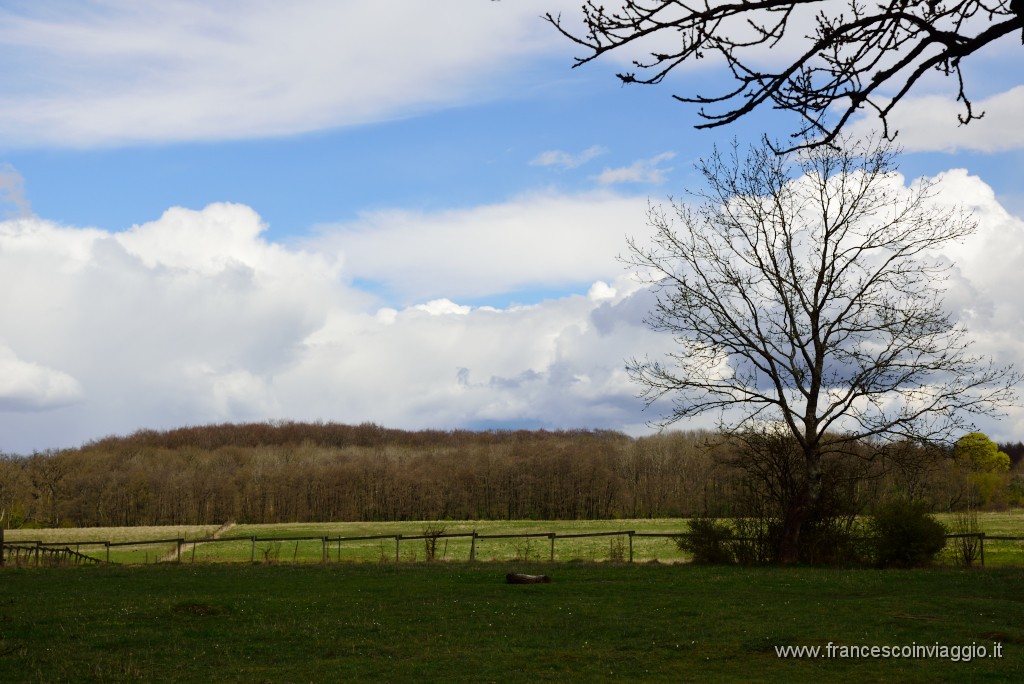 48DSC_4570.JPG