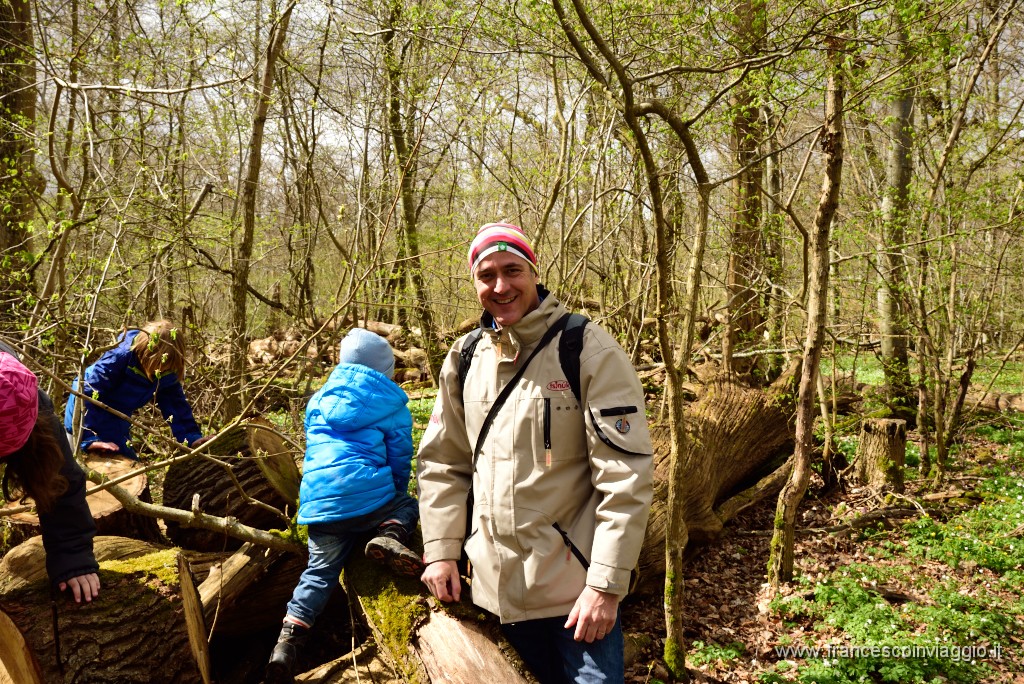53DSC_4576.JPG