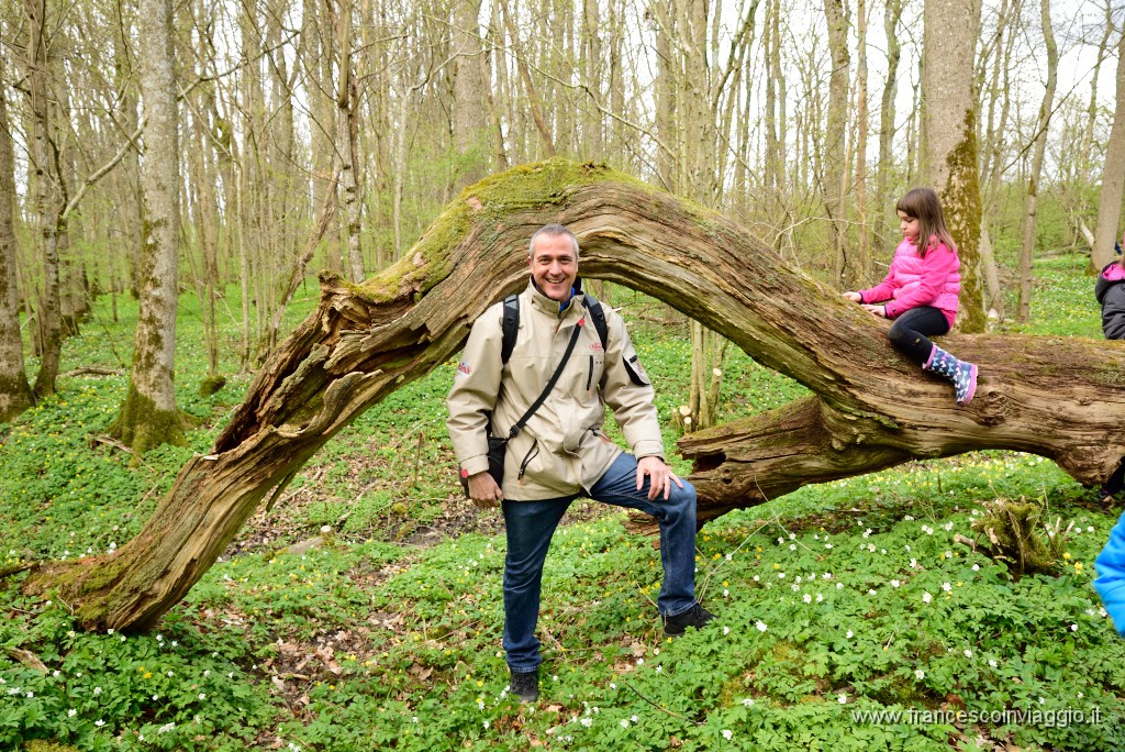 95DSC_4647.JPG